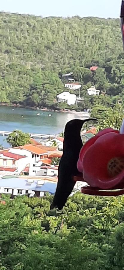 Appartement Colibri , Les Anses D 'Arlet Exterior photo